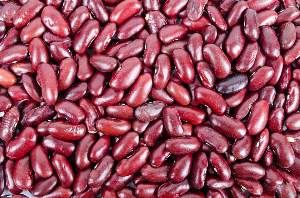 Read more about the article Kidney Bean Spread Recipe